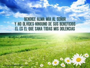 bendice-alma-mia-640